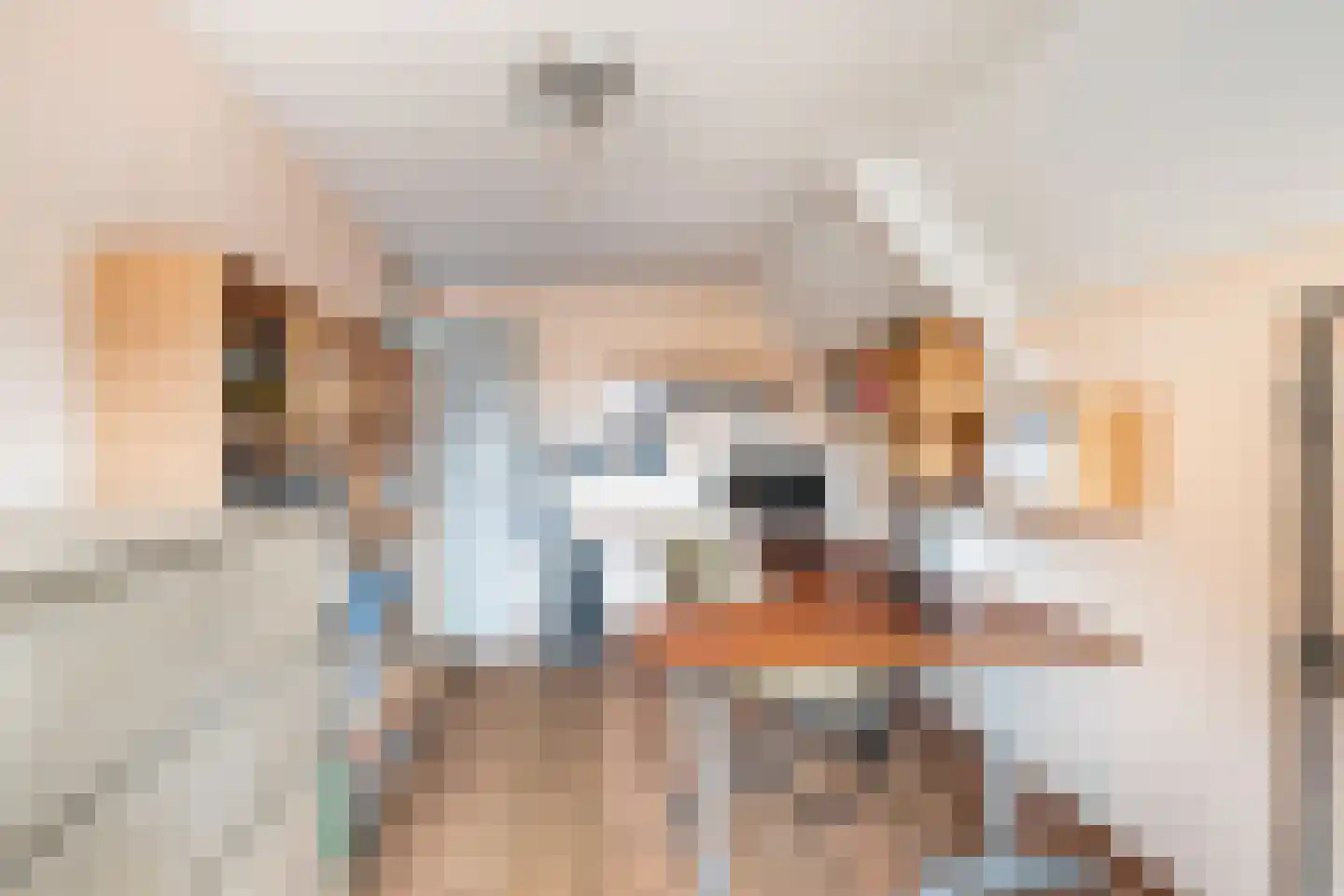 Zoutziedersdreef 8 Tholen thumbnail 24