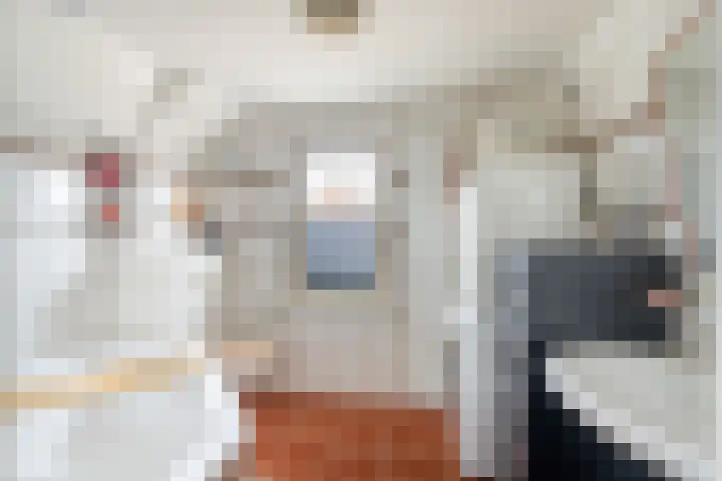 Zoutziedersdreef 8 Tholen thumbnail 27
