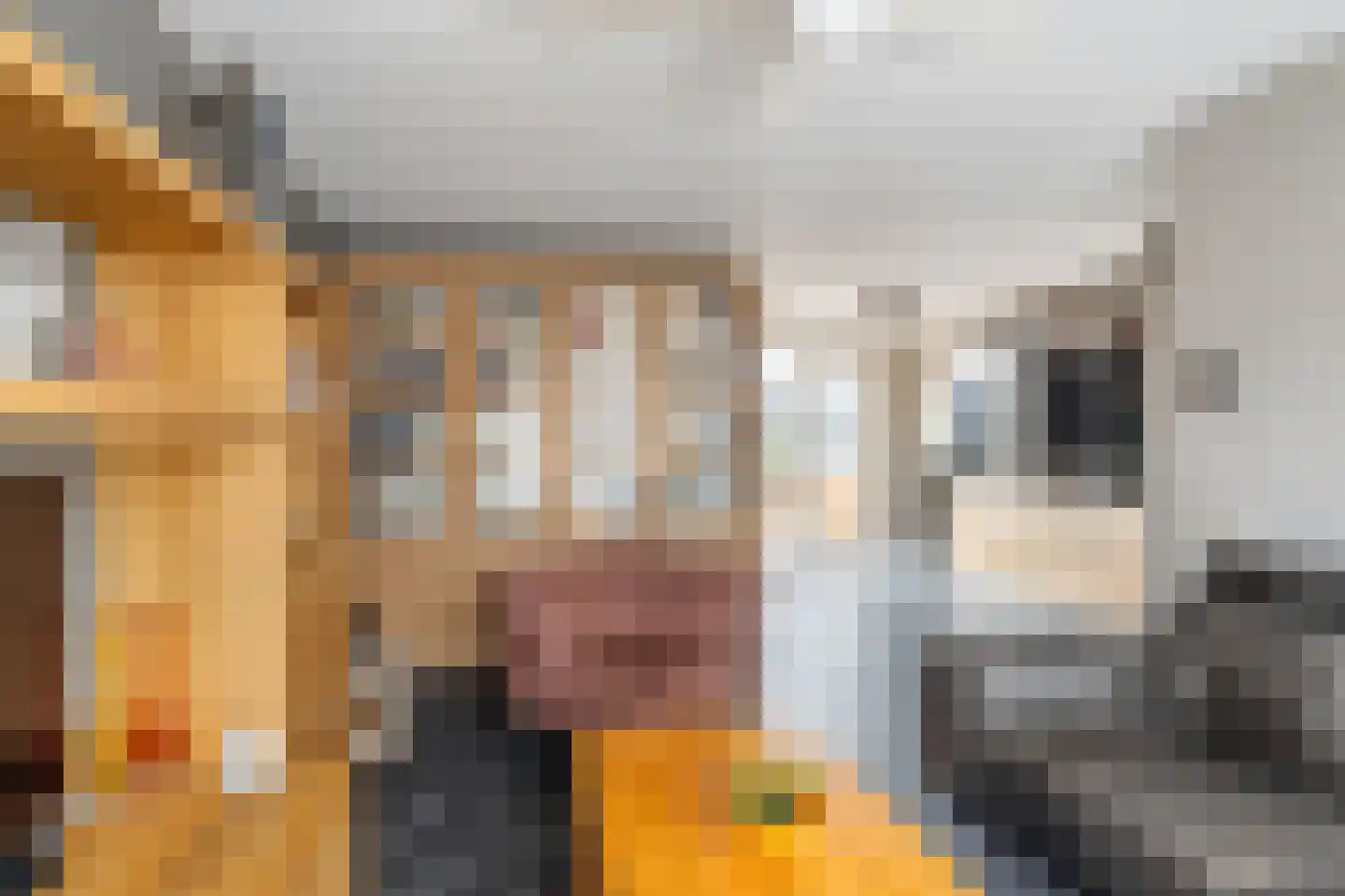 Zoutziedersdreef 8 Tholen thumbnail 4