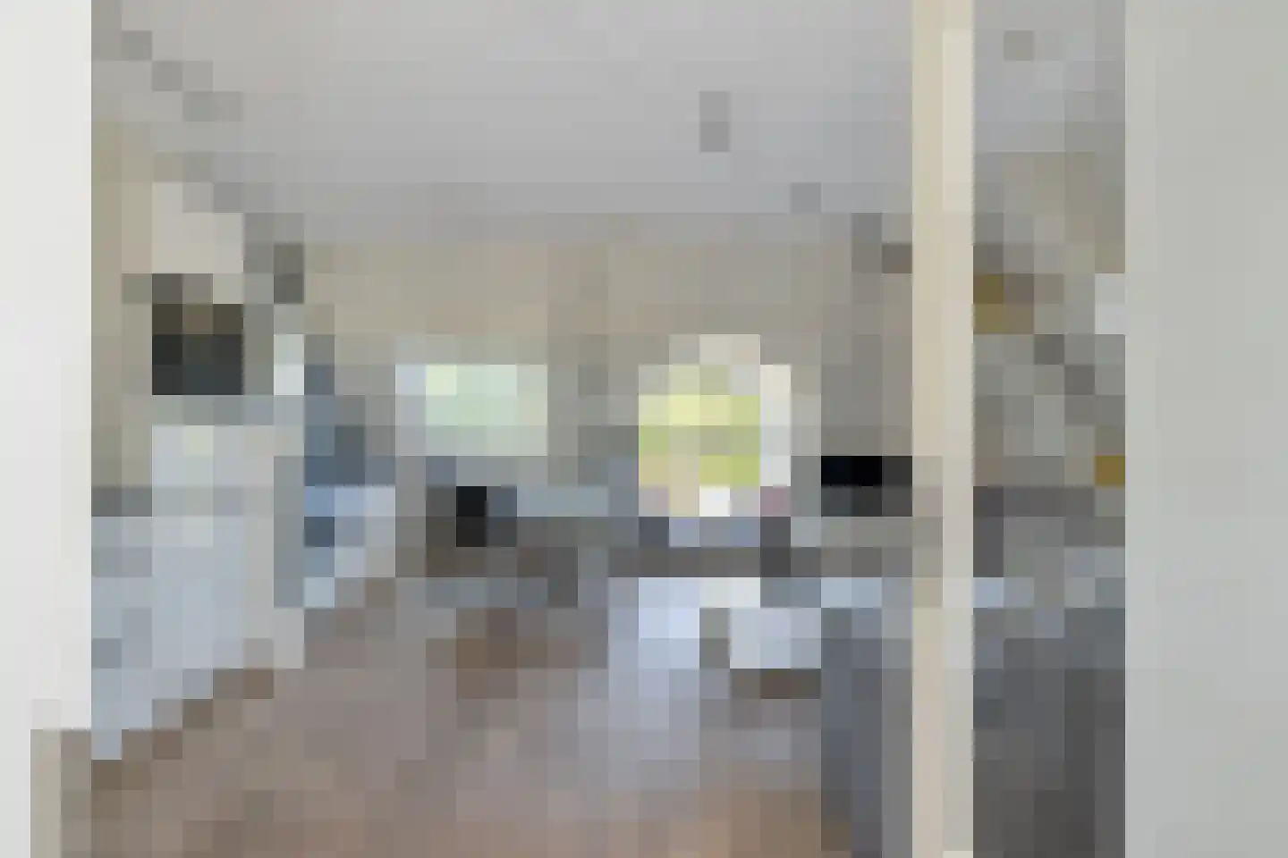 Zoutziederserf 13 Medemblik thumbnail 15