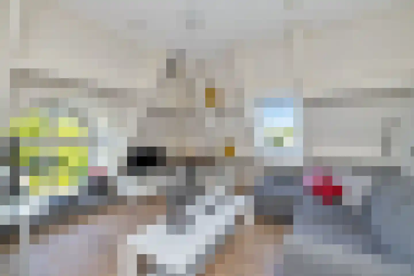Zoutziederserf 13 Medemblik thumbnail 16