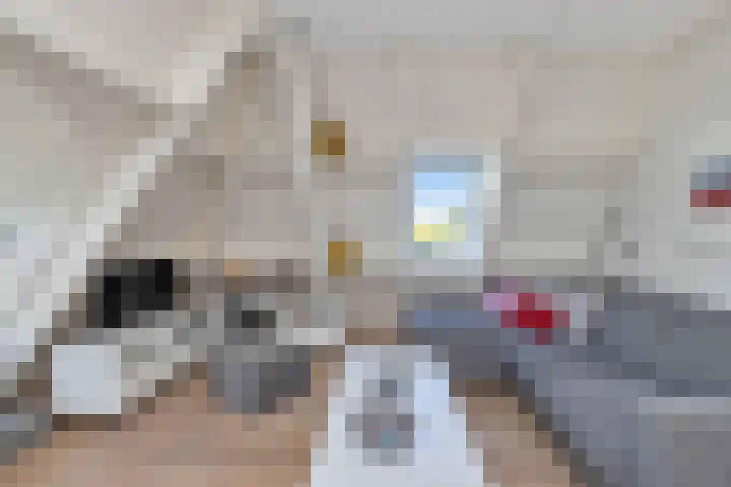 Zoutziederserf 13 Medemblik thumbnail 20