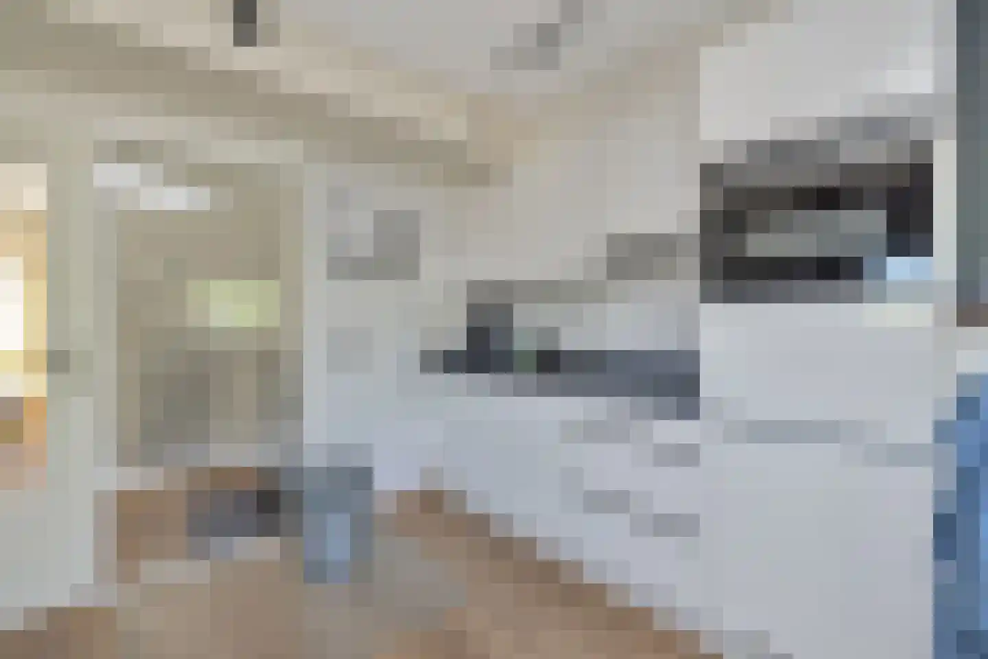 Zoutziederserf 13 Medemblik thumbnail 22