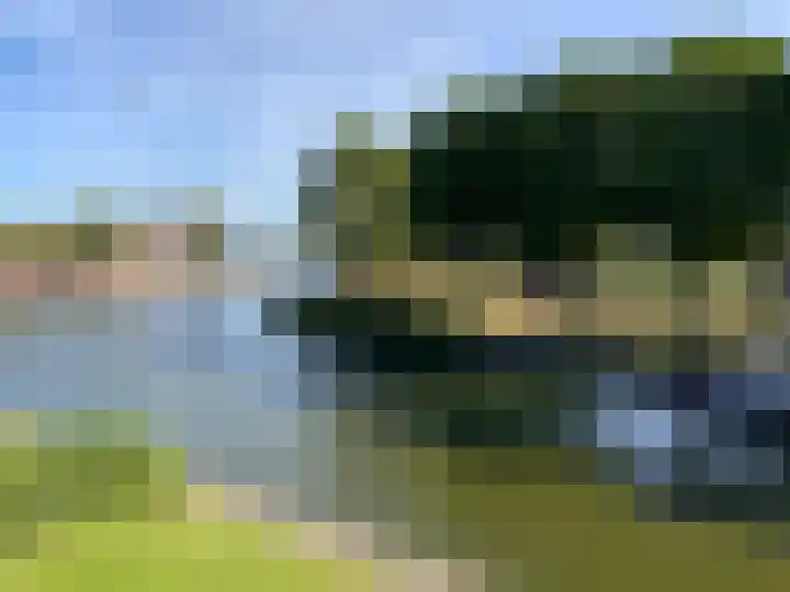 Zoutziederserf 29 Medemblik thumbnail 6