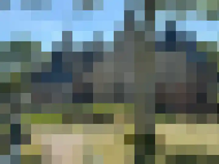 Zoutziederserf 29 Medemblik thumbnail 9