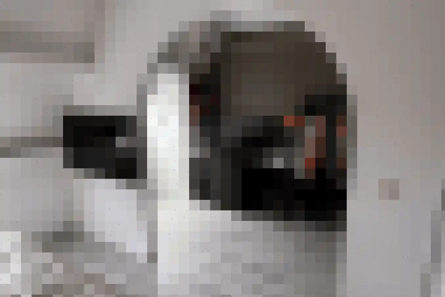 Zoutziederserf 37 Medemblik thumbnail 18