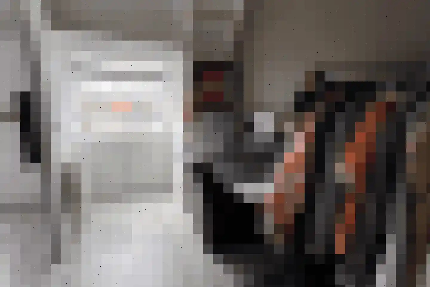 Zoutziederserf 37 Medemblik thumbnail 19