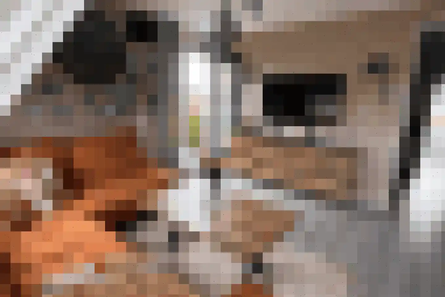 Zoutziederserf 37 Medemblik thumbnail 4