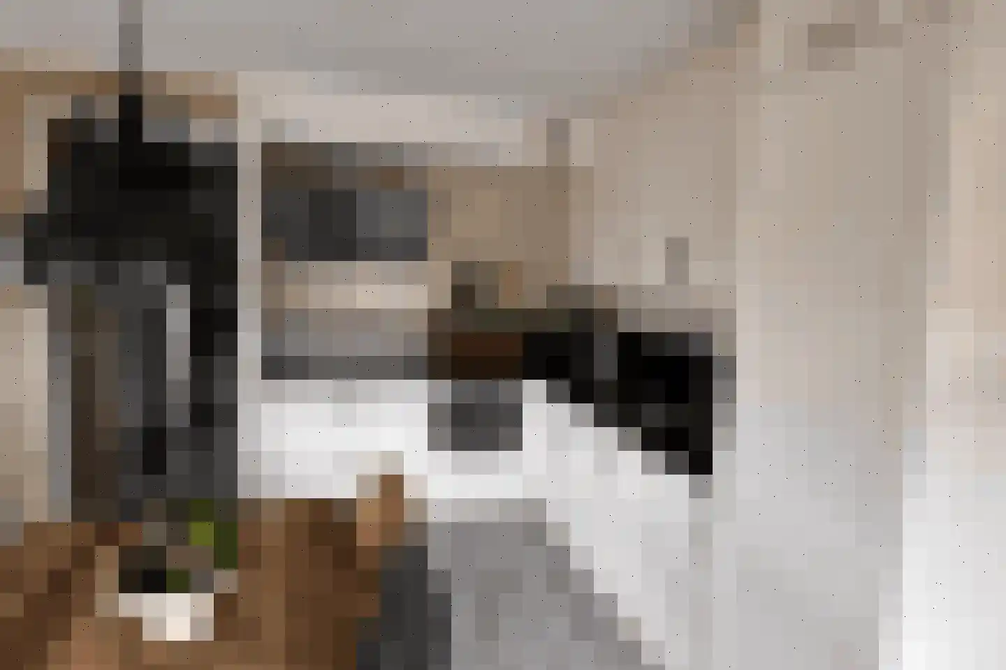 Zoutziederserf 37 Medemblik thumbnail 5