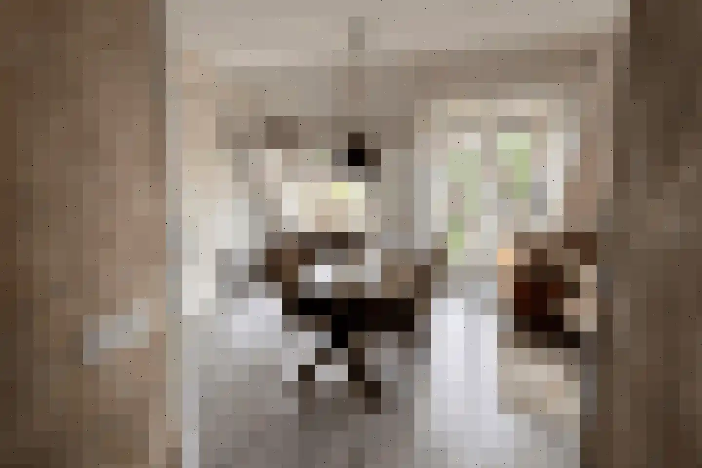 Zoutziederserf 37 Medemblik thumbnail 8