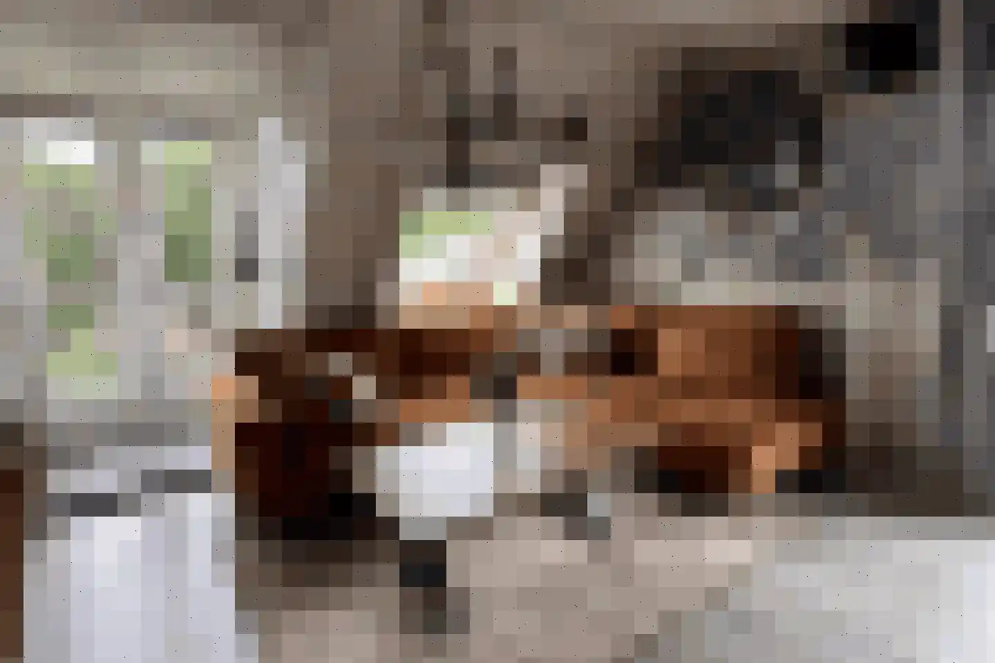 Zoutziederserf 37 Medemblik thumbnail 9