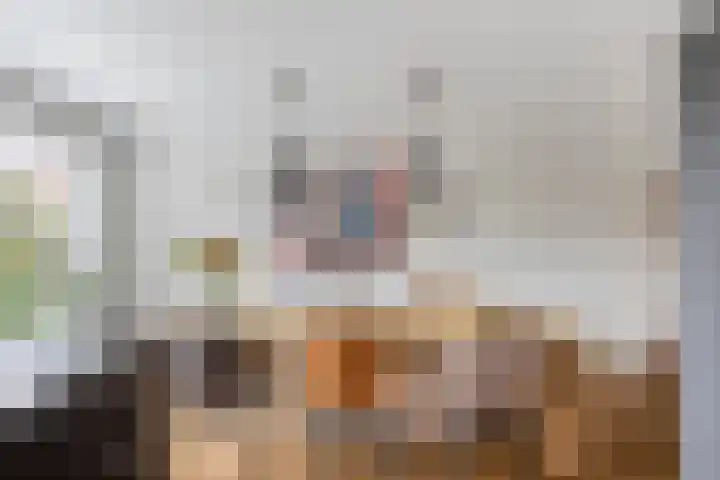 Zoutziedershof 23 Edam thumbnail 10
