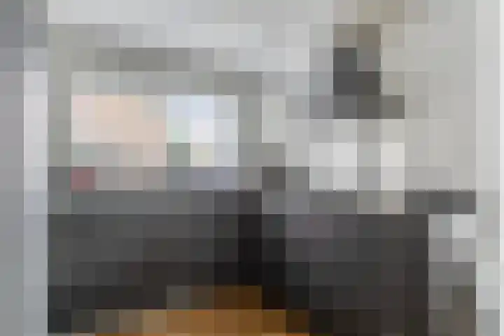 Zoutziedershof 23 Edam thumbnail 14