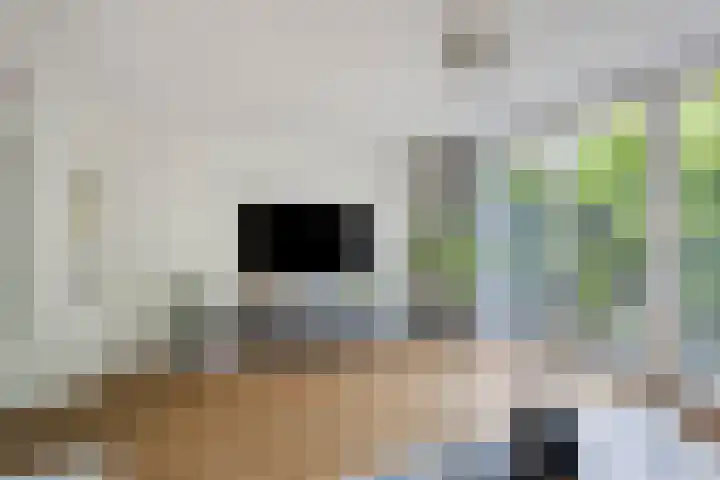 Zoutziedershof 23 Edam thumbnail 17