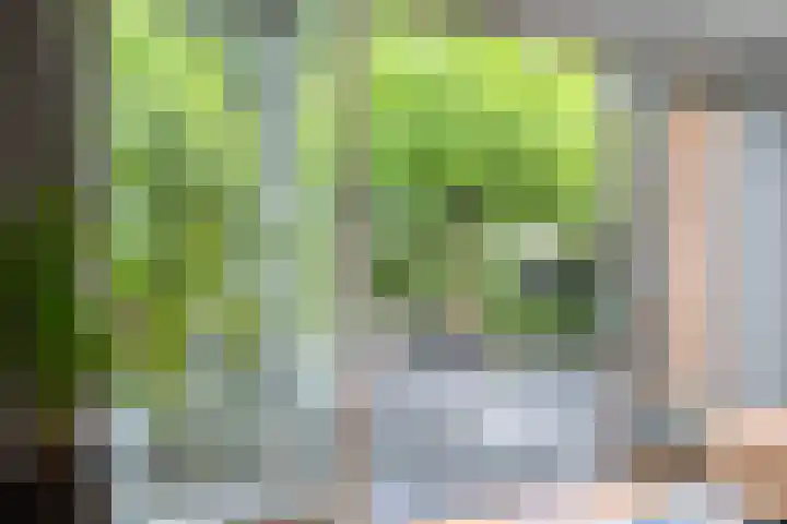 Zoutziedershof 23 Edam thumbnail 20
