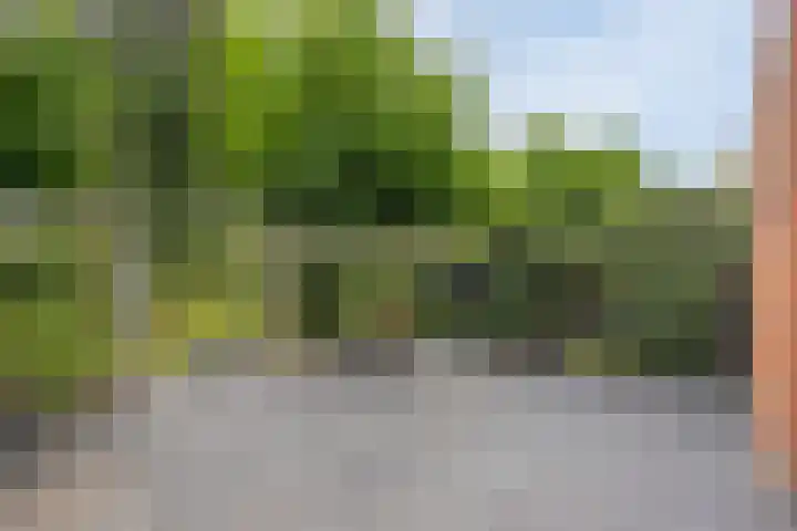Zoutziedershof 23 Edam thumbnail 21