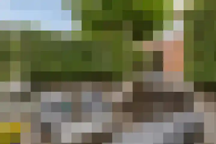 Zoutziedershof 23 Edam thumbnail 22