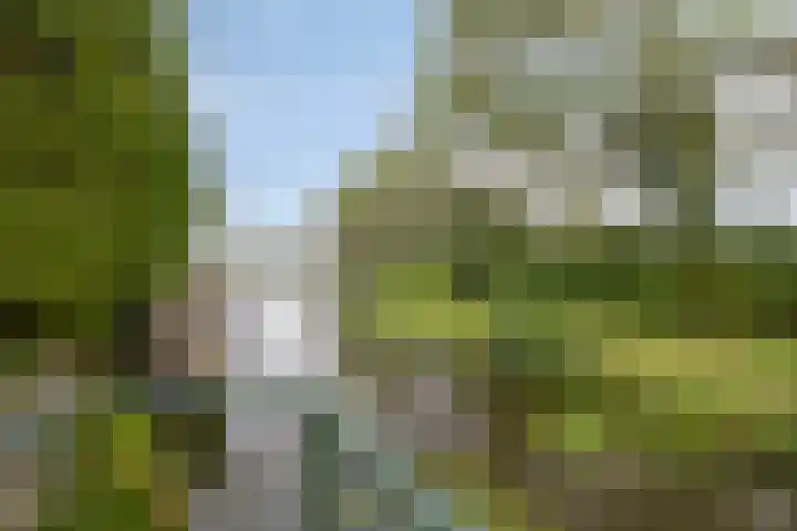 Zoutziedershof 23 Edam thumbnail 23