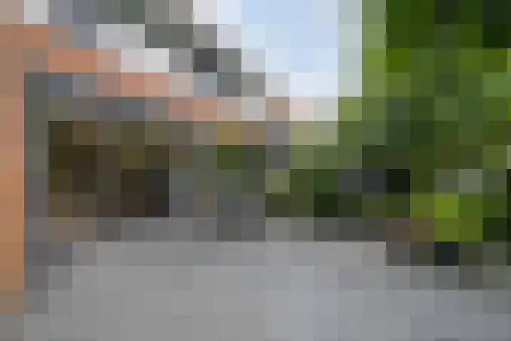 Zoutziedershof 23 Edam thumbnail 24