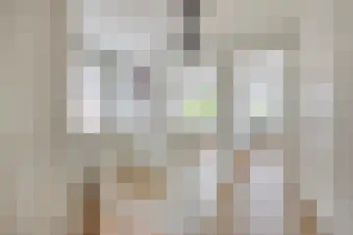Zoutziedershof 23 Edam thumbnail 27