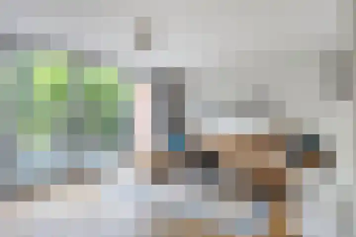 Zoutziedershof 23 Edam foto 3