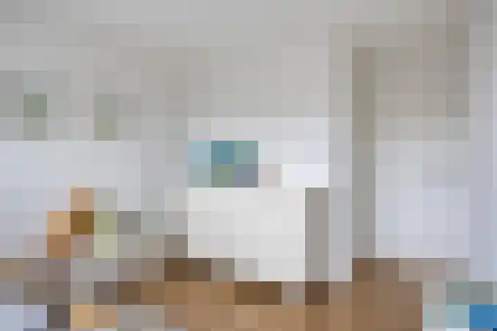 Zoutziedershof 23 Edam thumbnail 31