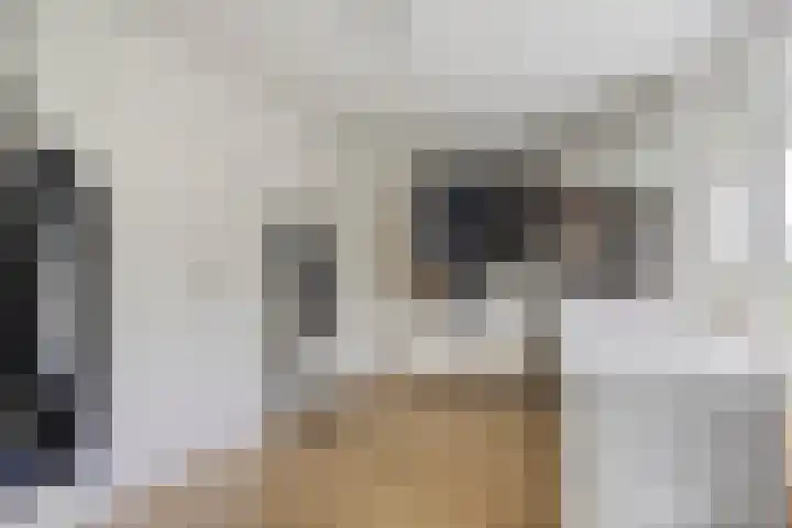 Zoutziedershof 23 Edam thumbnail 32