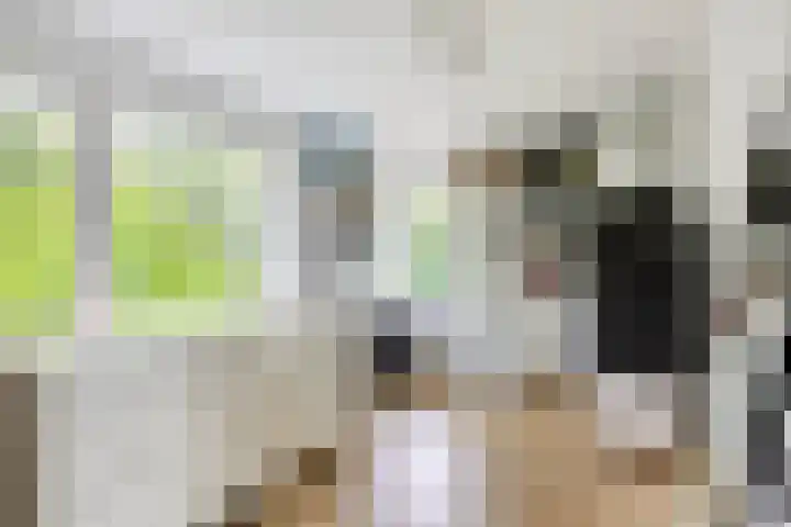 Zoutziedershof 23 Edam thumbnail 33