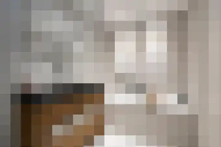 Zoutziedershof 23 Edam thumbnail 34