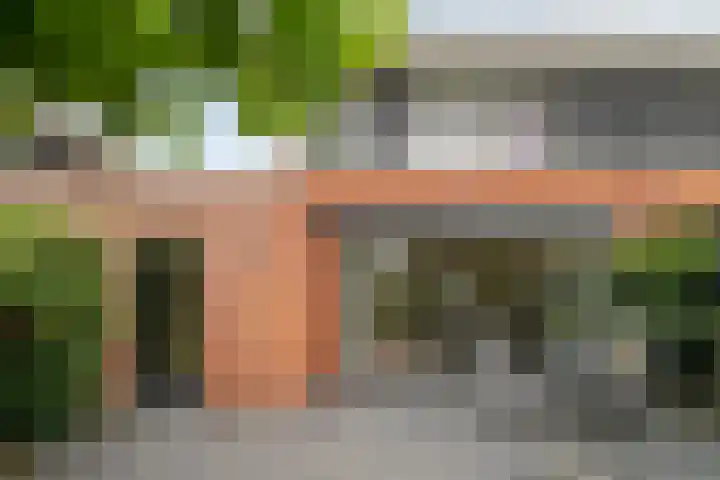 Zoutziedershof 23 Edam thumbnail 4