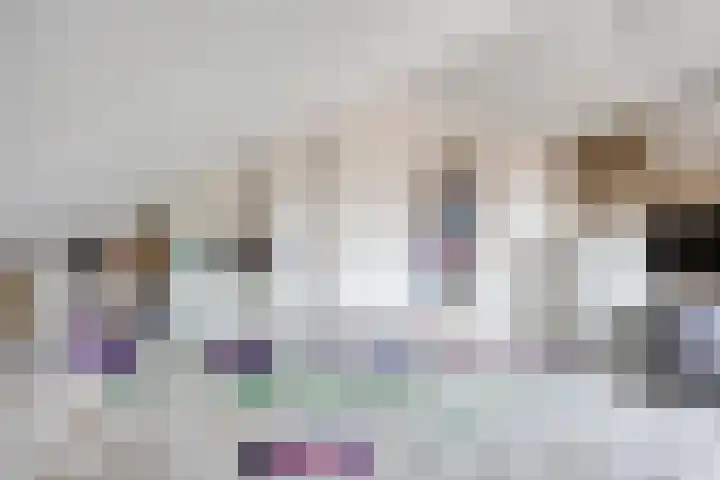 Zoutziedershof 23 Edam thumbnail 40
