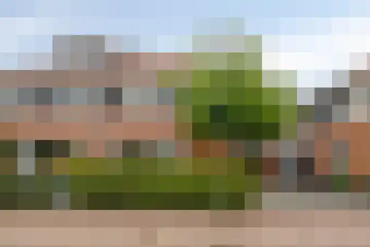 Zoutziedershof 23 Edam thumbnail 41