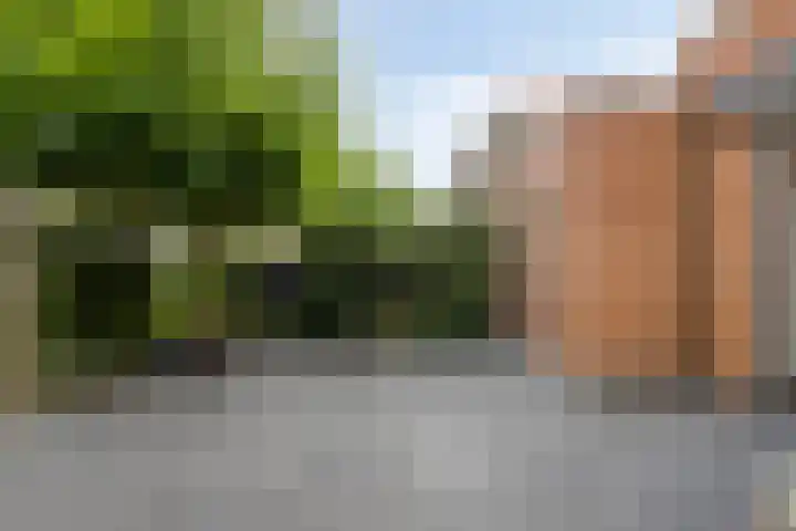 Zoutziedershof 23 Edam thumbnail 42