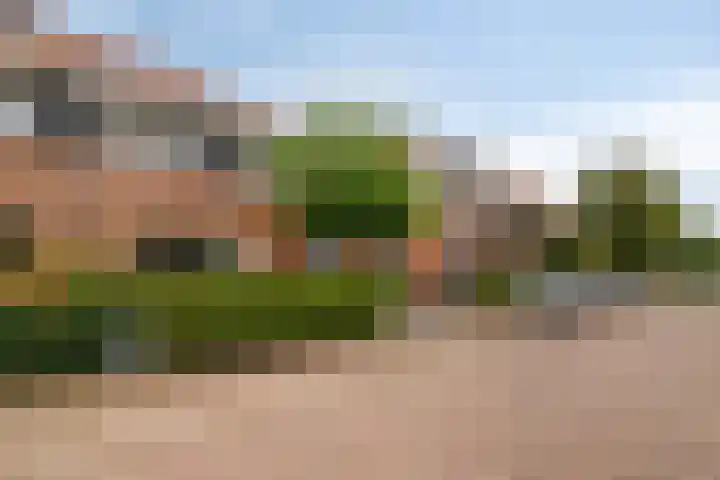 Zoutziedershof 23 Edam thumbnail 44