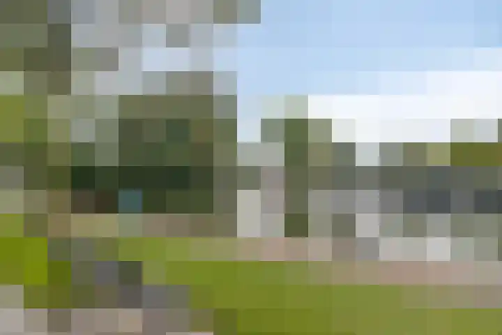 Zoutziedershof 23 Edam thumbnail 45