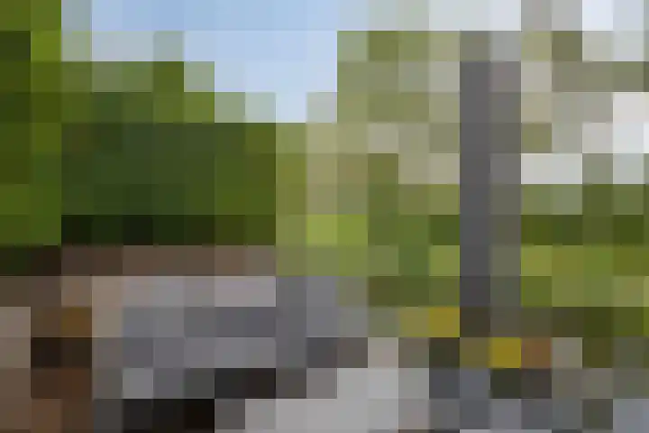 Zoutziedershof 23 Edam thumbnail 5