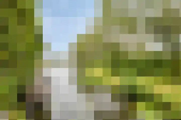 Zoutziedershof 23 Edam thumbnail 6