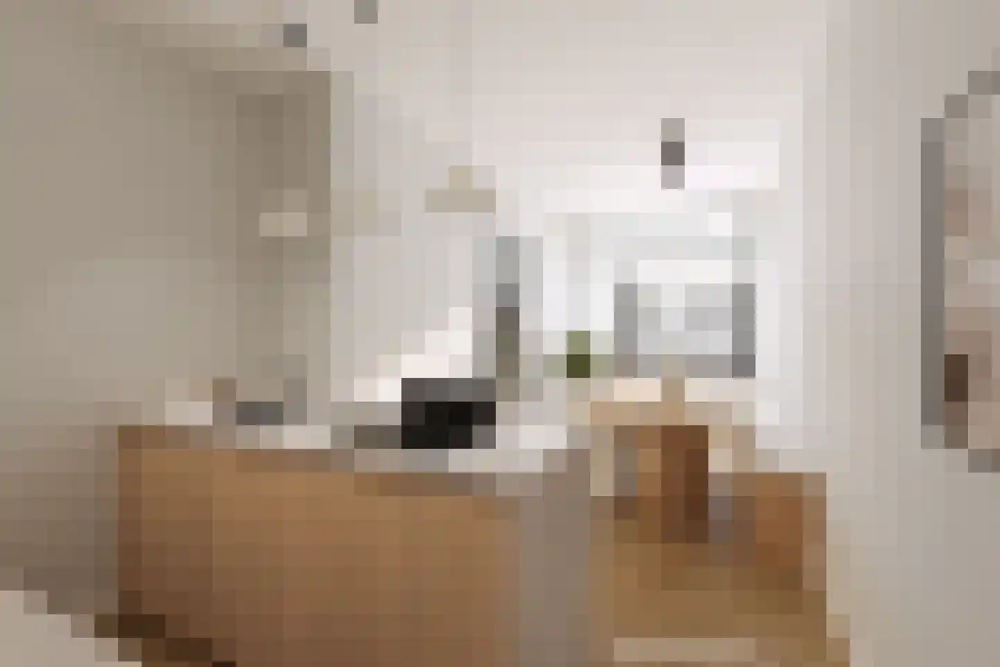 Zoutziedersstraat 19 Rotterdam thumbnail 13