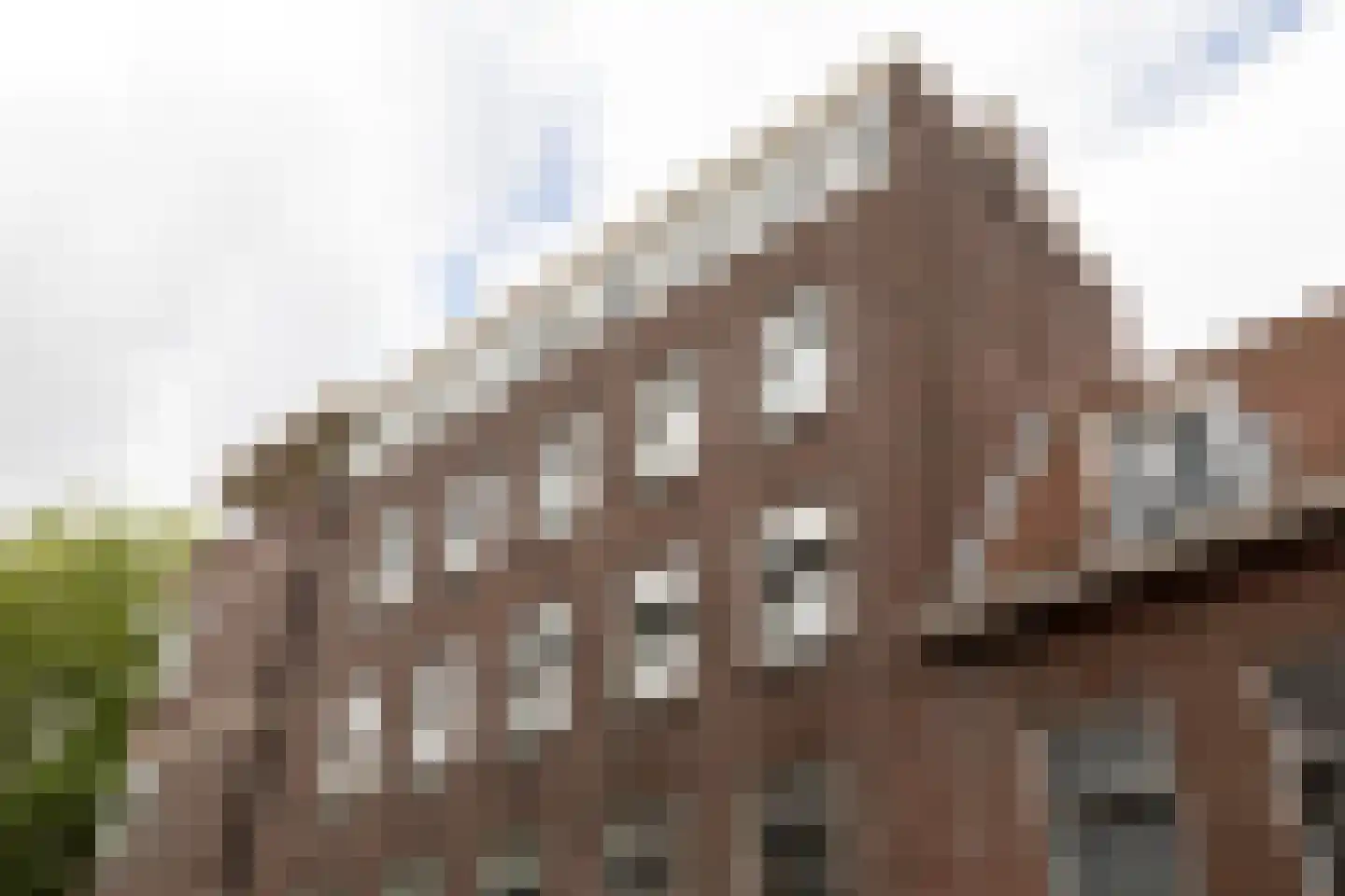 Zoutziedersstraat 56 C Rotterdam thumbnail 8