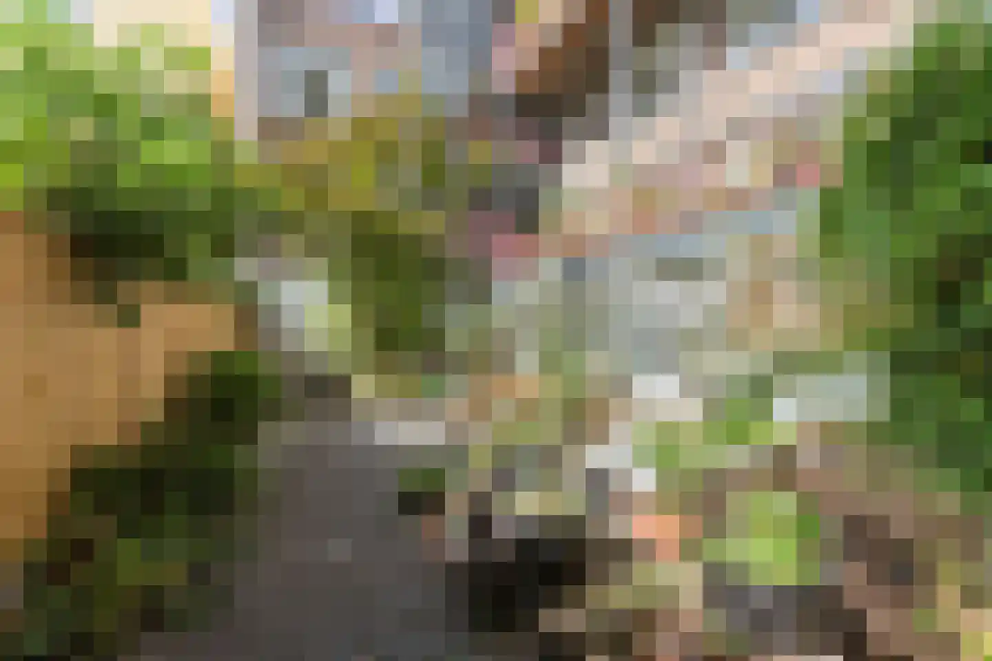 Zoutziedersstraat 75 D Rotterdam thumbnail 17