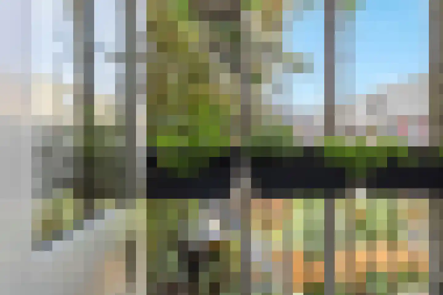 Zoutziedersstraat 75 D Rotterdam thumbnail 29