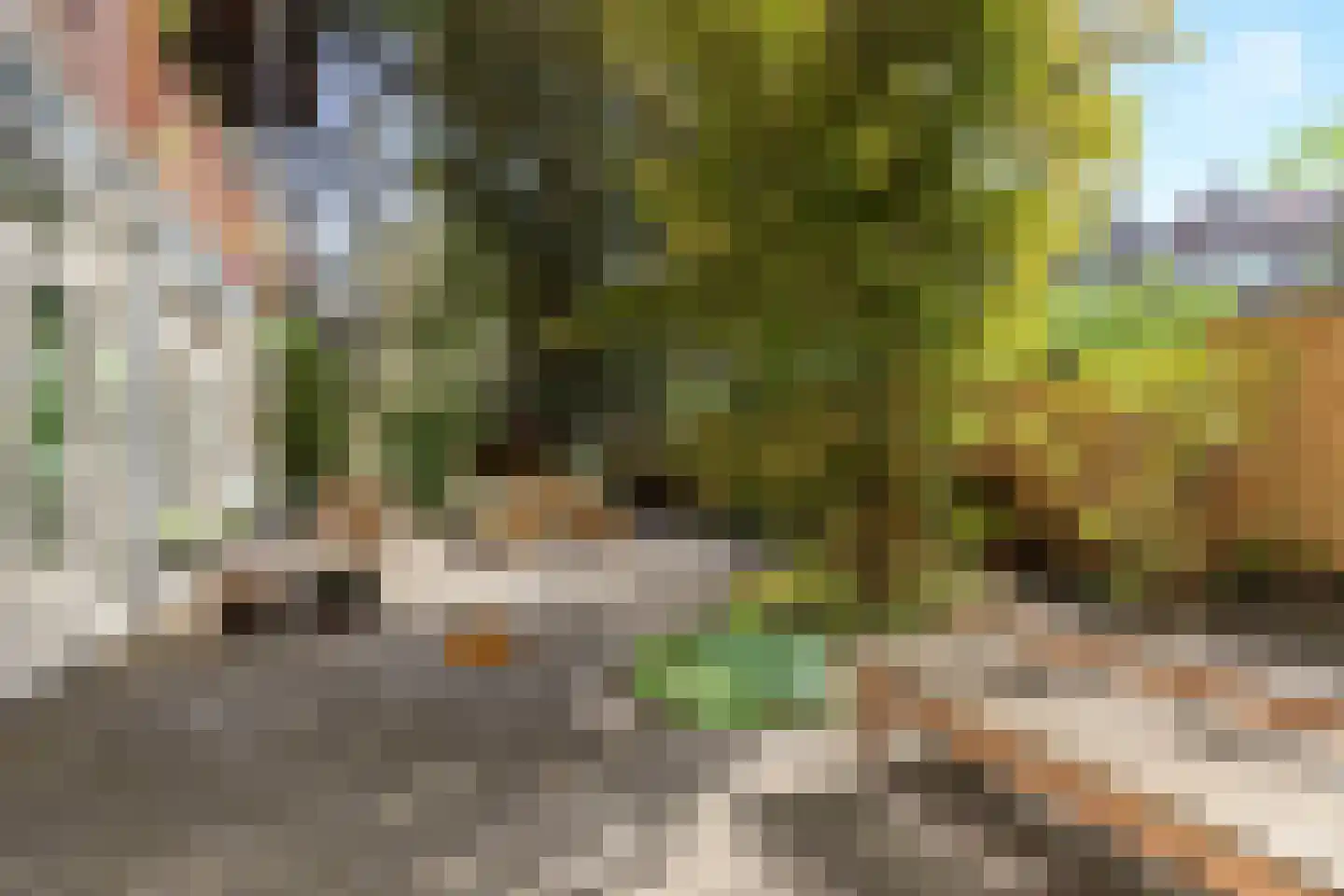 Zoutziedersstraat 75 D Rotterdam thumbnail 5