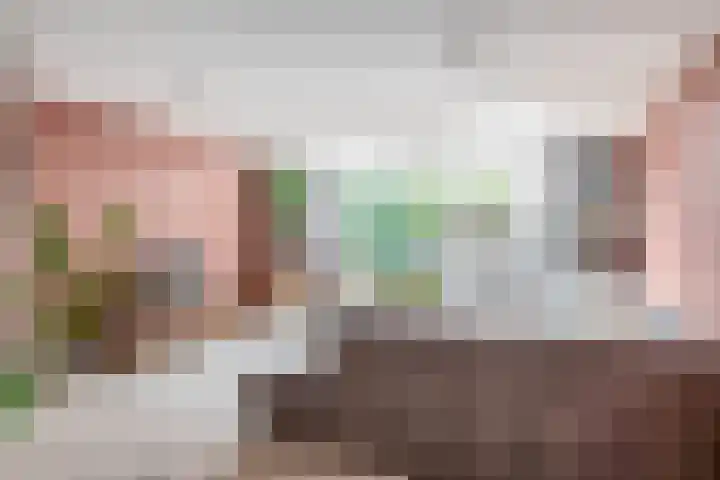 Zoutziederstraat 25 Brielle thumbnail 12