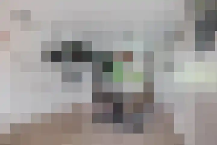 Zoutziederstraat 25 Brielle thumbnail 16