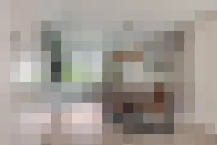 Zoutziederstraat 25 Brielle thumbnail 17