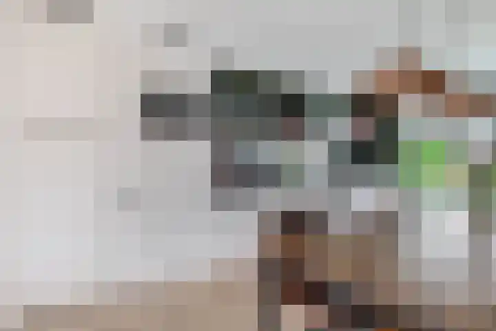 Zoutziederstraat 25 Brielle thumbnail 18