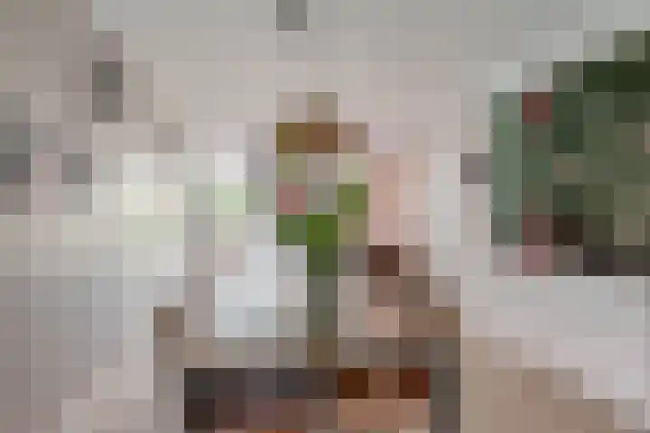 Zoutziederstraat 25 Brielle thumbnail 19