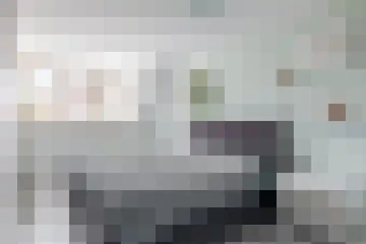 Zoutziederstraat 25 Brielle thumbnail 24