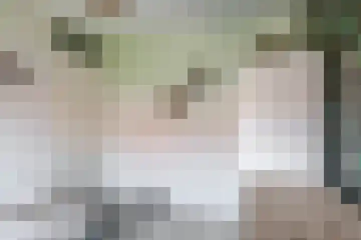 Zoutziederstraat 25 Brielle thumbnail 29