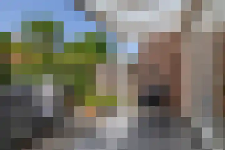 Zoutziederstraat 25 Brielle thumbnail 36